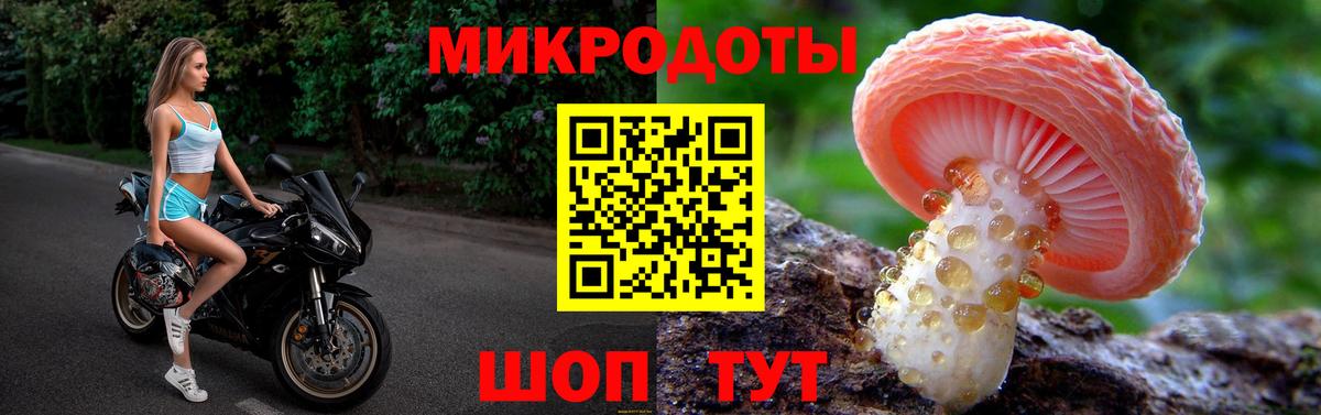 Галлюциногенные грибы Magic Shrooms  купить   Вход с VPN  Сургут  Галлюциногенные грибы мицелий 